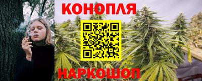 ешки Будённовск