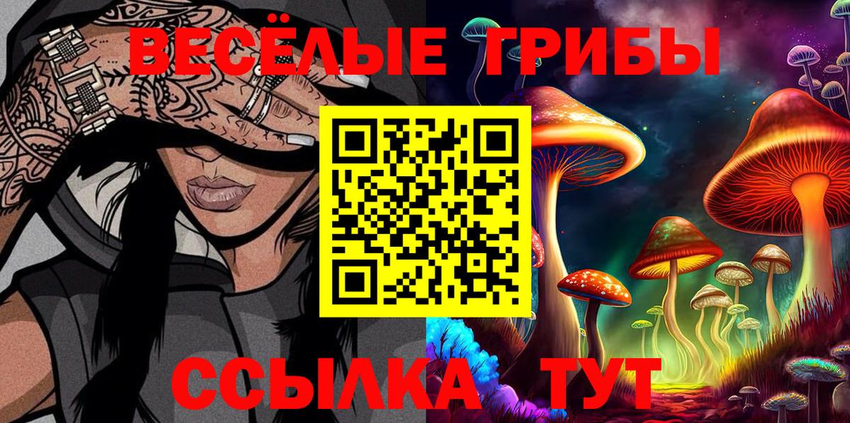 Новочеркасск  Псилоцибиновые грибы GOLDEN TEACHER  Вход с VPN 