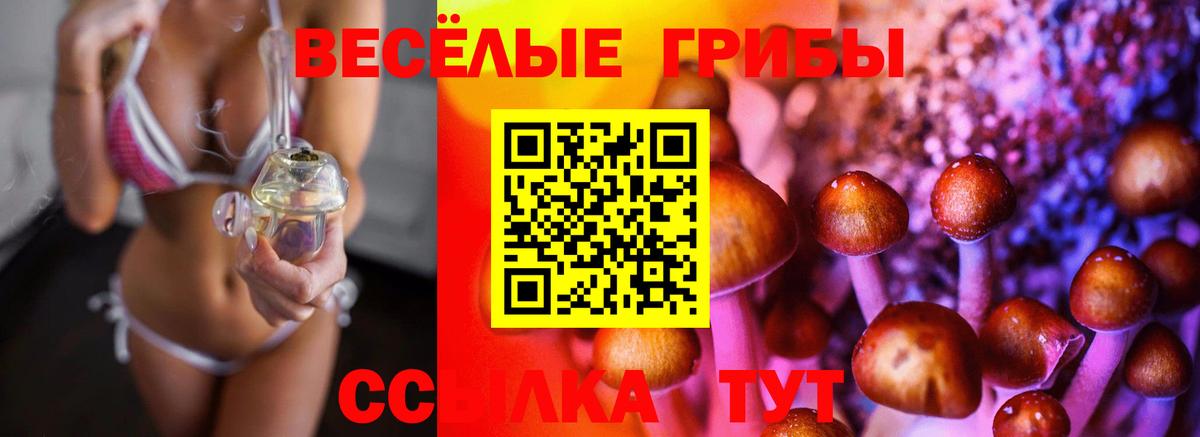 Галлюциногенные грибы Magic Shrooms Новочеркасск